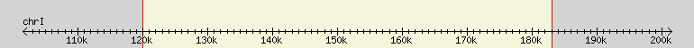__scale__ region