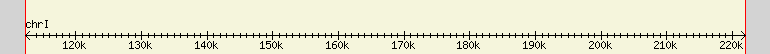 __scale__ region