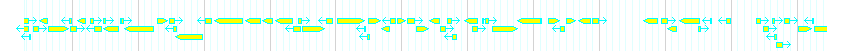 Genes detail