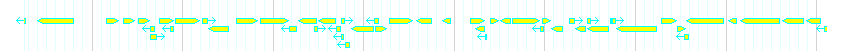 Genes detail