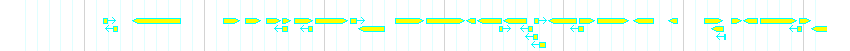 Genes detail