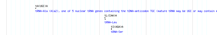 tRNAs detail