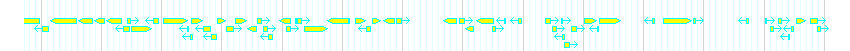 Genes detail