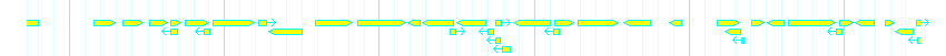 Genes detail
