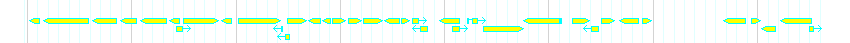 Genes detail