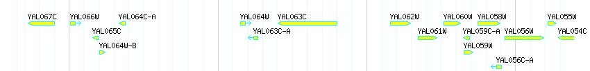 Genes detail