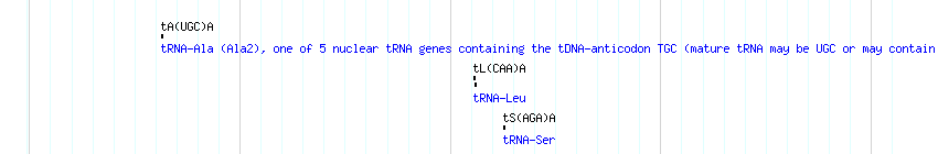 tRNAs detail