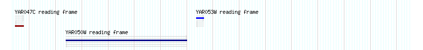 CDS detail