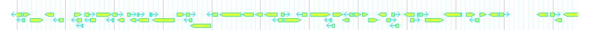 Genes detail