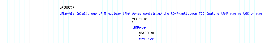 tRNAs detail