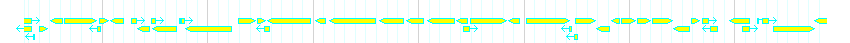 Genes detail