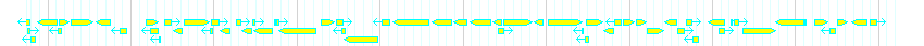 Genes detail