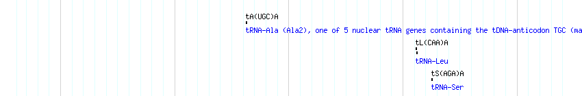 tRNAs detail