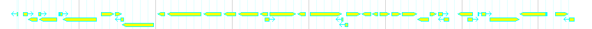 Genes detail