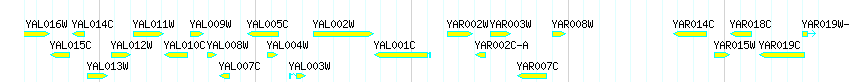 Genes detail