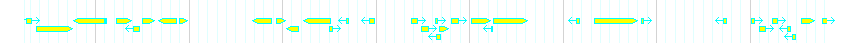 Genes detail