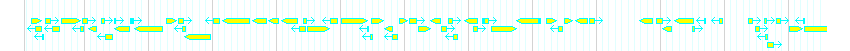 Genes detail