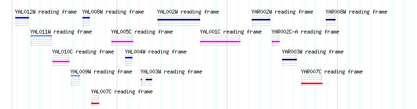 CDS detail