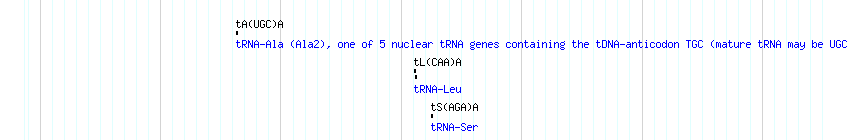 tRNAs detail