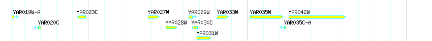 Genes detail