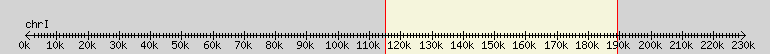 __scale__ overview