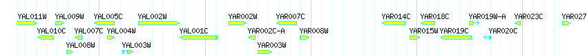 Genes detail