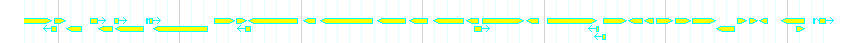 Genes detail