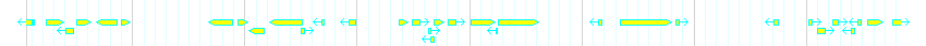 Genes detail
