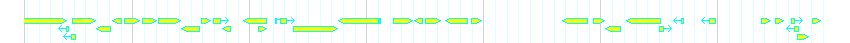 Genes detail