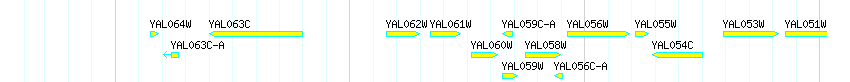 Genes detail