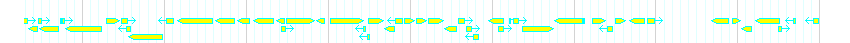 Genes detail