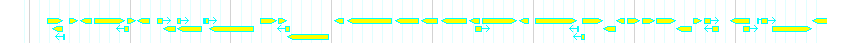 Genes detail