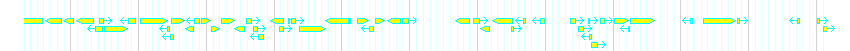 Genes detail