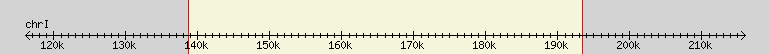 __scale__ region