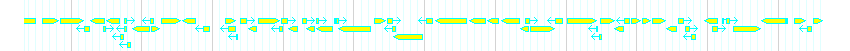 Genes detail
