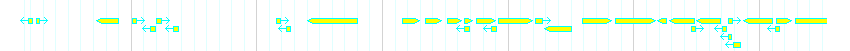 Genes detail