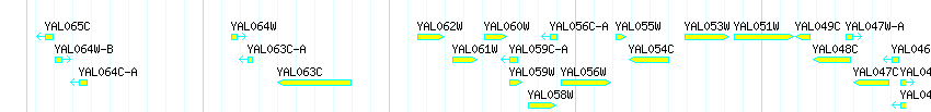 Genes detail