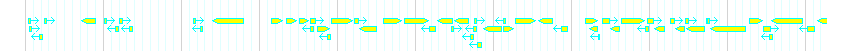 Genes detail