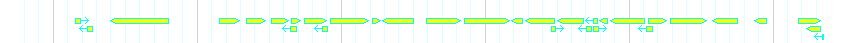 Genes detail