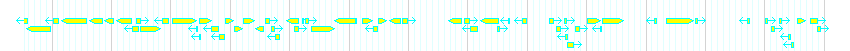 Genes detail