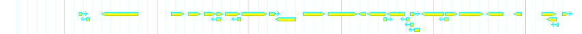 Genes detail