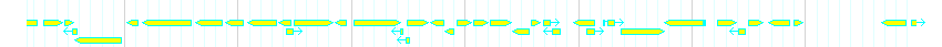 Genes detail