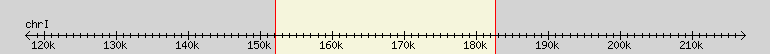 __scale__ region