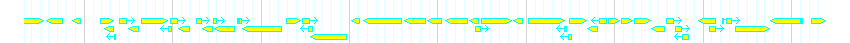 Genes detail
