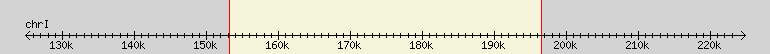__scale__ region