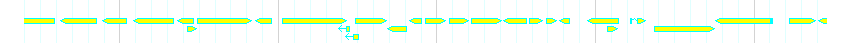 Genes detail