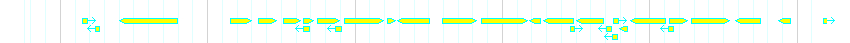 Genes detail