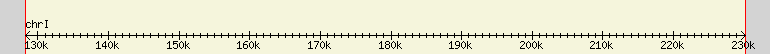 __scale__ region