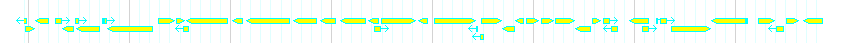 Genes detail
