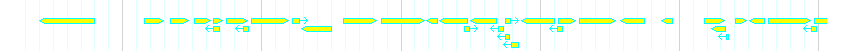 Genes detail